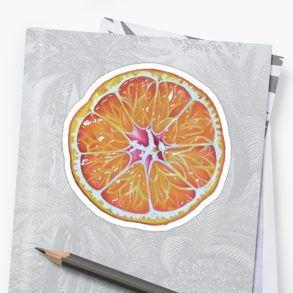 1000x1000 orange slice drawing sticker - Orange Slice Drawing