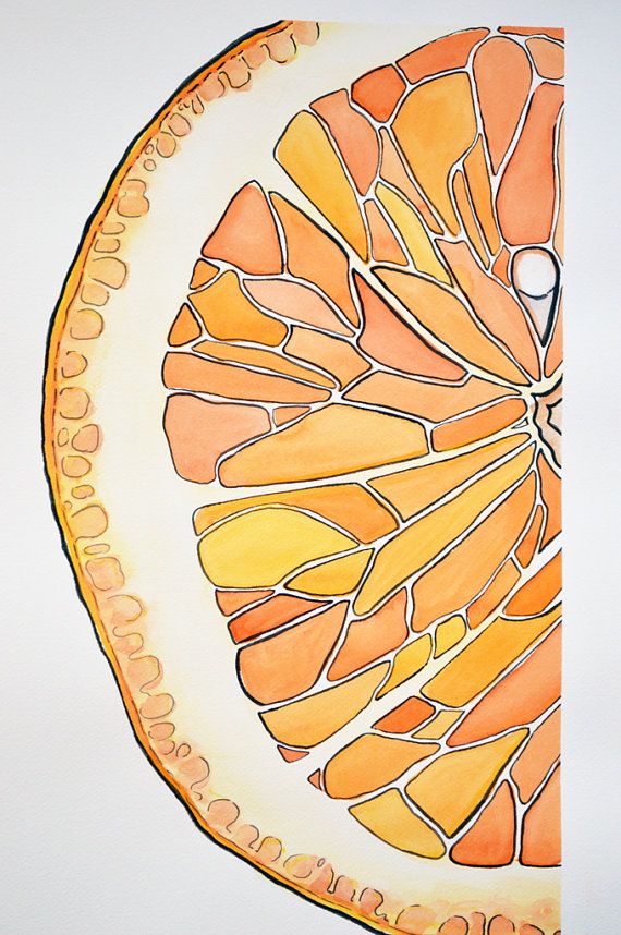 570x858 orange slice watercolor painting - Orange Slice Drawing