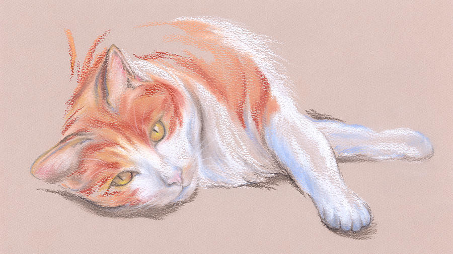 Orange Tabby Cat Drawing at Explore collection of