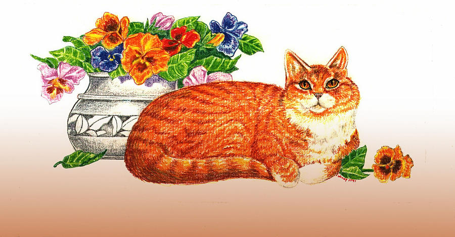 900x470 Orange Tabby Cat Drawing - Orange Tabby Cat Drawing