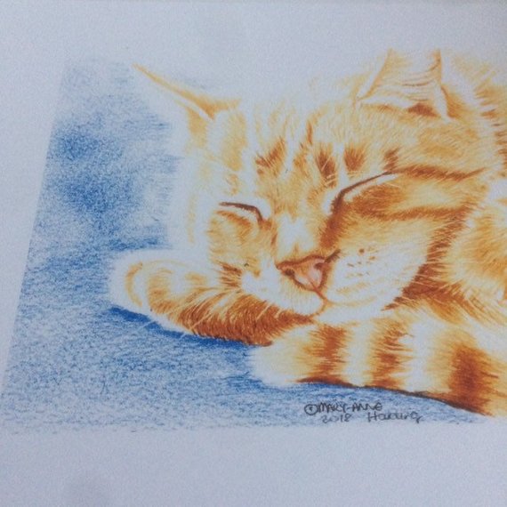 570x570 Orange Tabby Cat Sleeping Print Sleeping Ginger Tabby Cat Etsy - Orange Tabby Cat Drawing