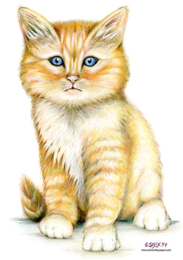 634x900 Orange Tabby Drawing - Orange Tabby Cat Drawing