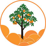150x150 Orange Tree Drawing - Orange Tree Drawing