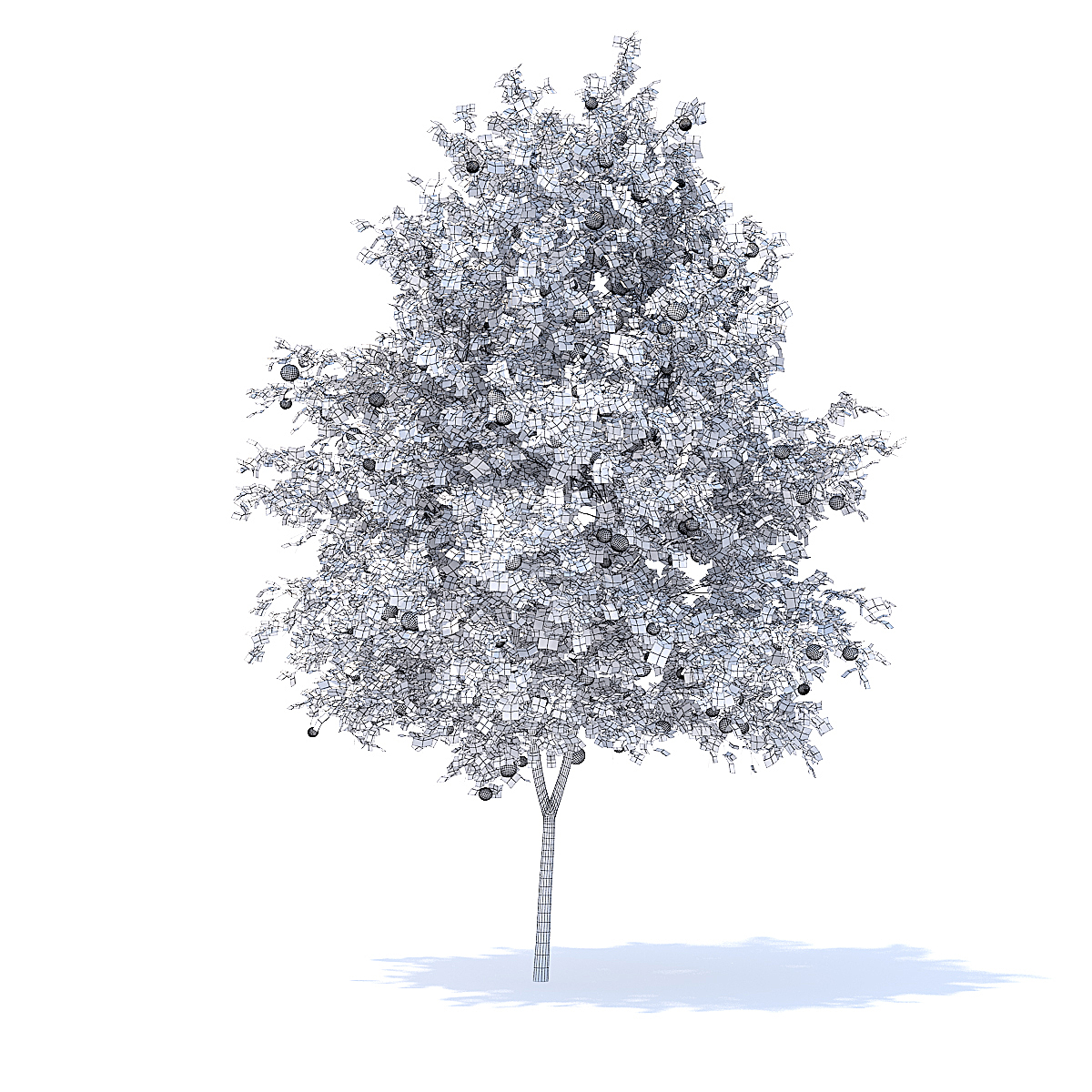 1200x1200 Orange Tree With Fruits Model - Orange Tree Drawing