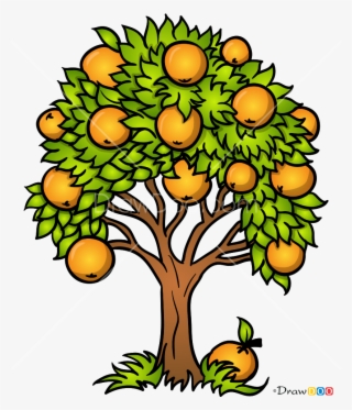 320x373 Tree Drawing Png, Transparent Tree Drawing Png Image Free Download - Orange Tree Drawing