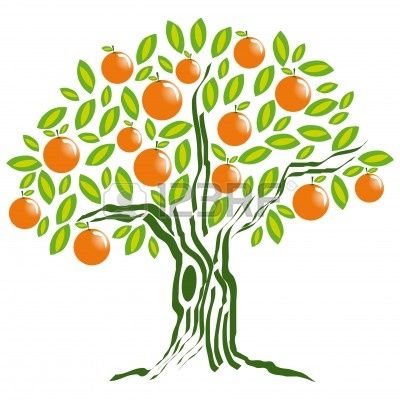 Orange Tree Drawing At Paintingvalley Com Explore Collection Of Orange Tree Drawing