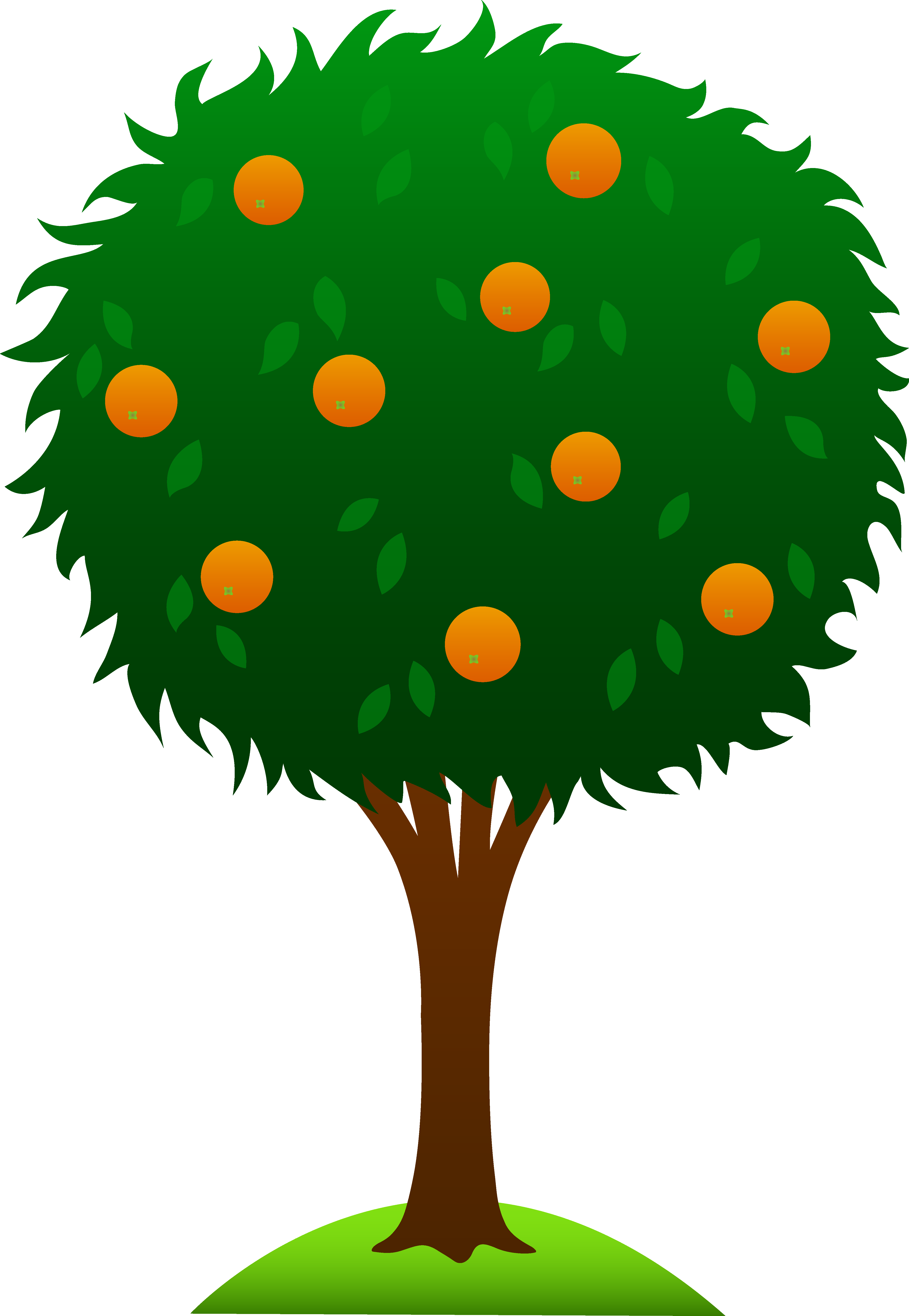 4497x6508 Free Orange Tree Clip Free Stock - Orange Tree Drawing