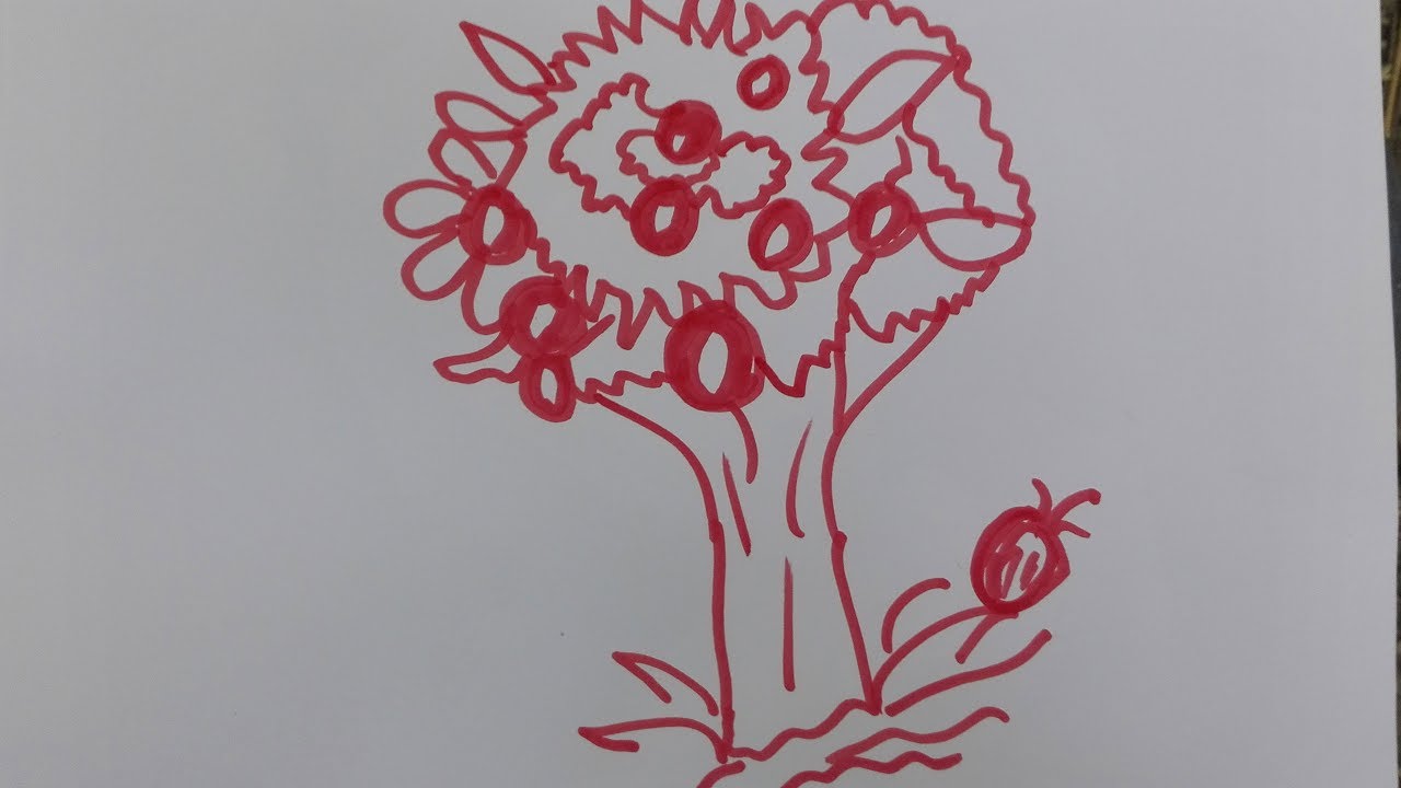 1280x720 how to draw orange tree diagram of an orange fruit labelled - Orange Tree Drawing