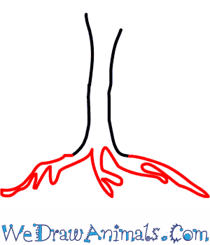 300x350 How To Draw An Orange Tree - Orange Tree Drawing