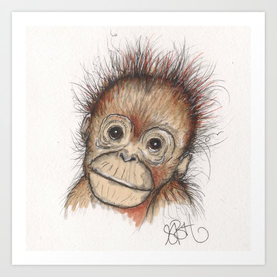 Orangutan Drawing at PaintingValley.com | Explore collection of ...