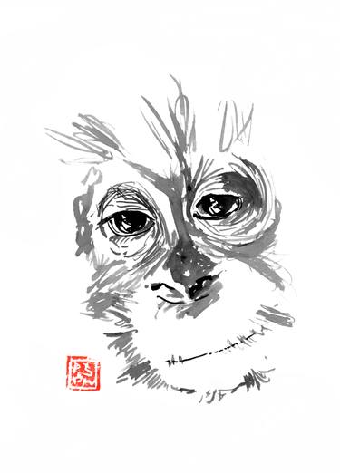 375x522 Baby Orangutan Drawing - Orangutan Drawing