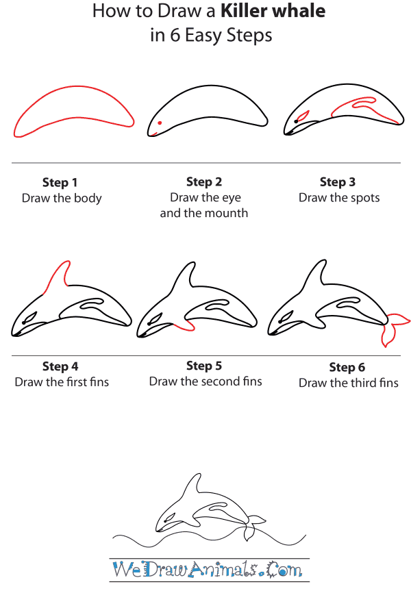 600x866 How To Draw A Killer Whale - Orca Whale Drawing