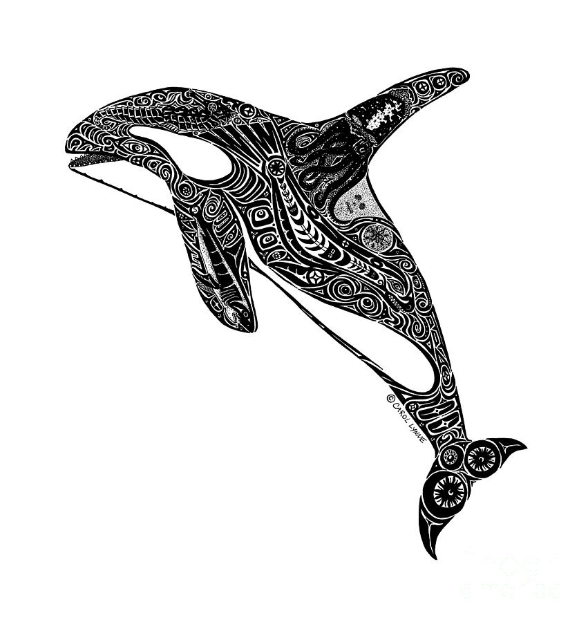 851x900 Tribal Orca Drawing - Orca Whale Drawing