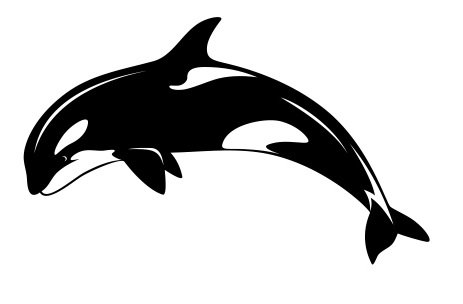 463x304 Drawing - Orca Whale Drawing