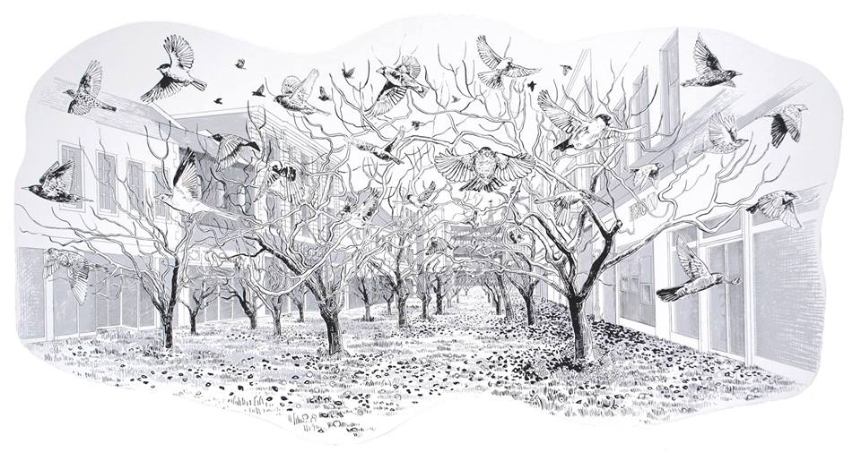 960x505 if the city were an orchard sarah gittins - Orchard Drawing
