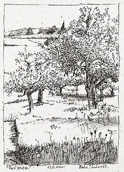 253x350 martin stankewitz - Orchard Drawing