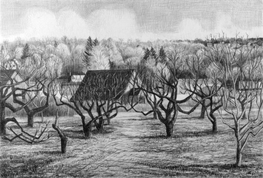 1000x678 orchard series jim lee - Orchard Drawing