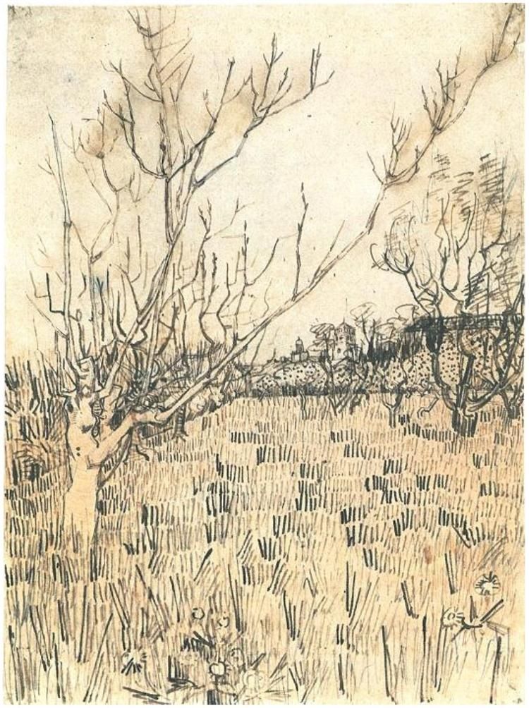 750x1004 orchard with arles in the background, vincent van gogh - Orchard Drawing