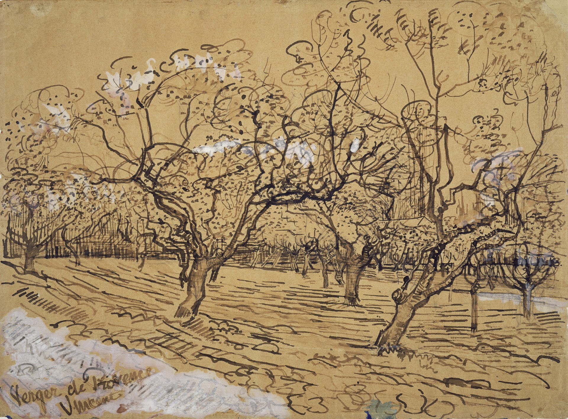 Orchard Drawing at Explore collection of Orchard