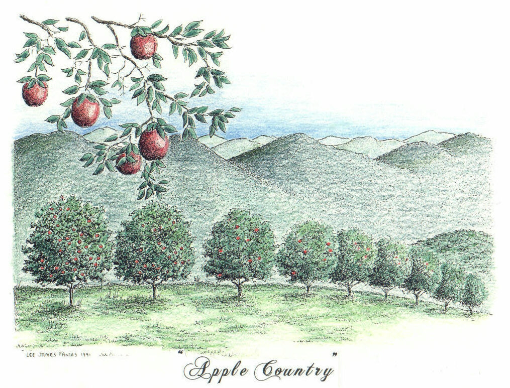 Orchard Drawing at Explore collection of Orchard