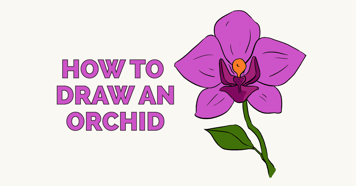 1200x628 how to draw a beautiful orchid - Orchid Drawing