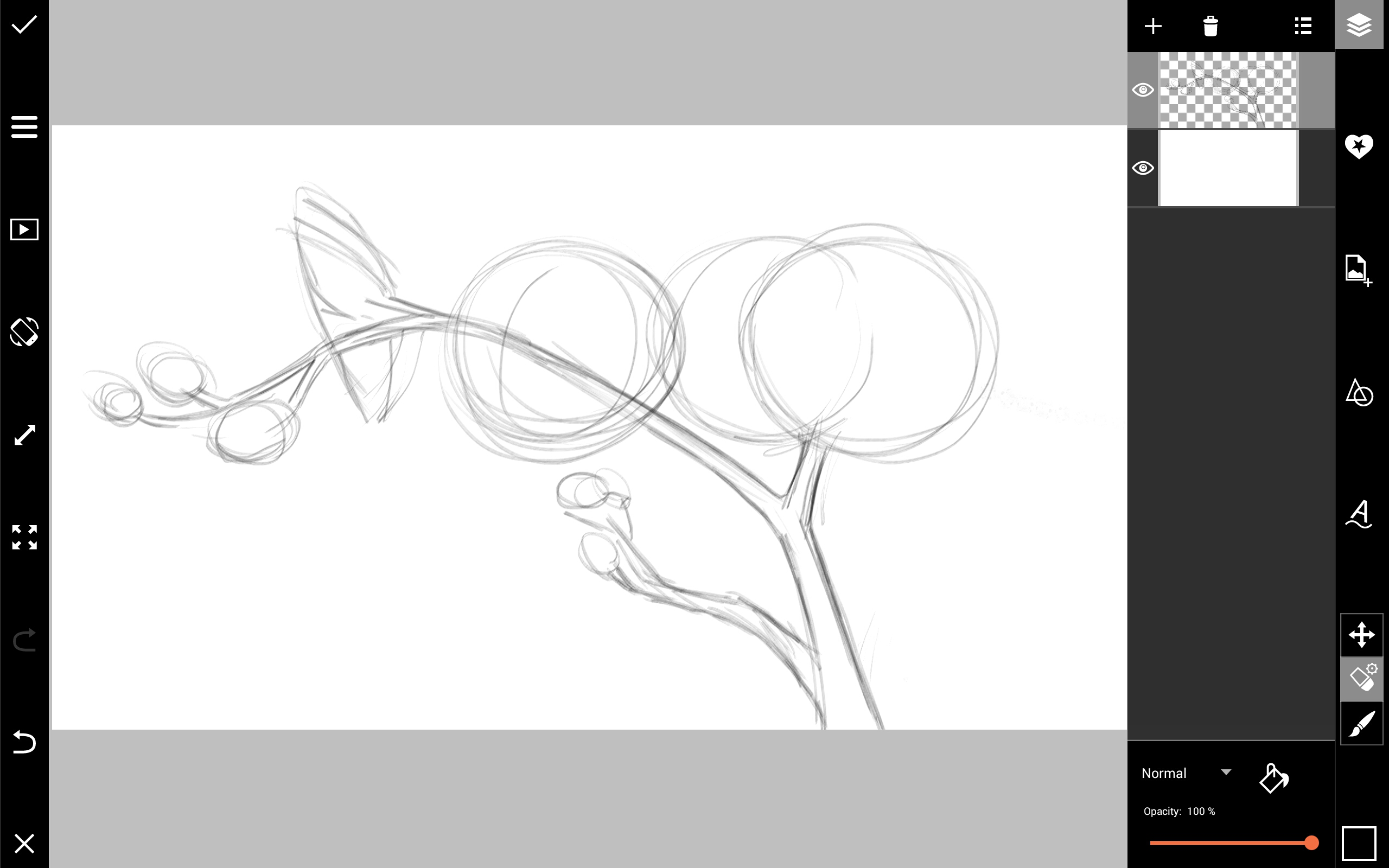 2560x1600 how to draw orchids - Orchid Drawing Outline