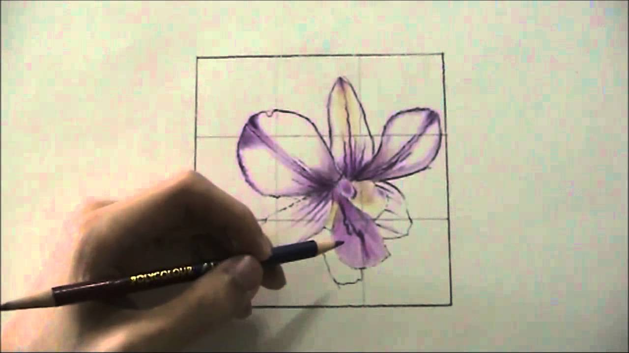 1280x720 how to draw an orchid - Orchid Drawing Outline