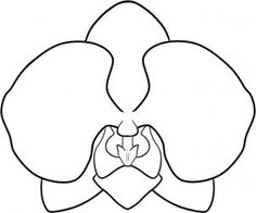 236x196 best orchid drawing images paint, cherry tree, sketches - Orchid Drawing Outline