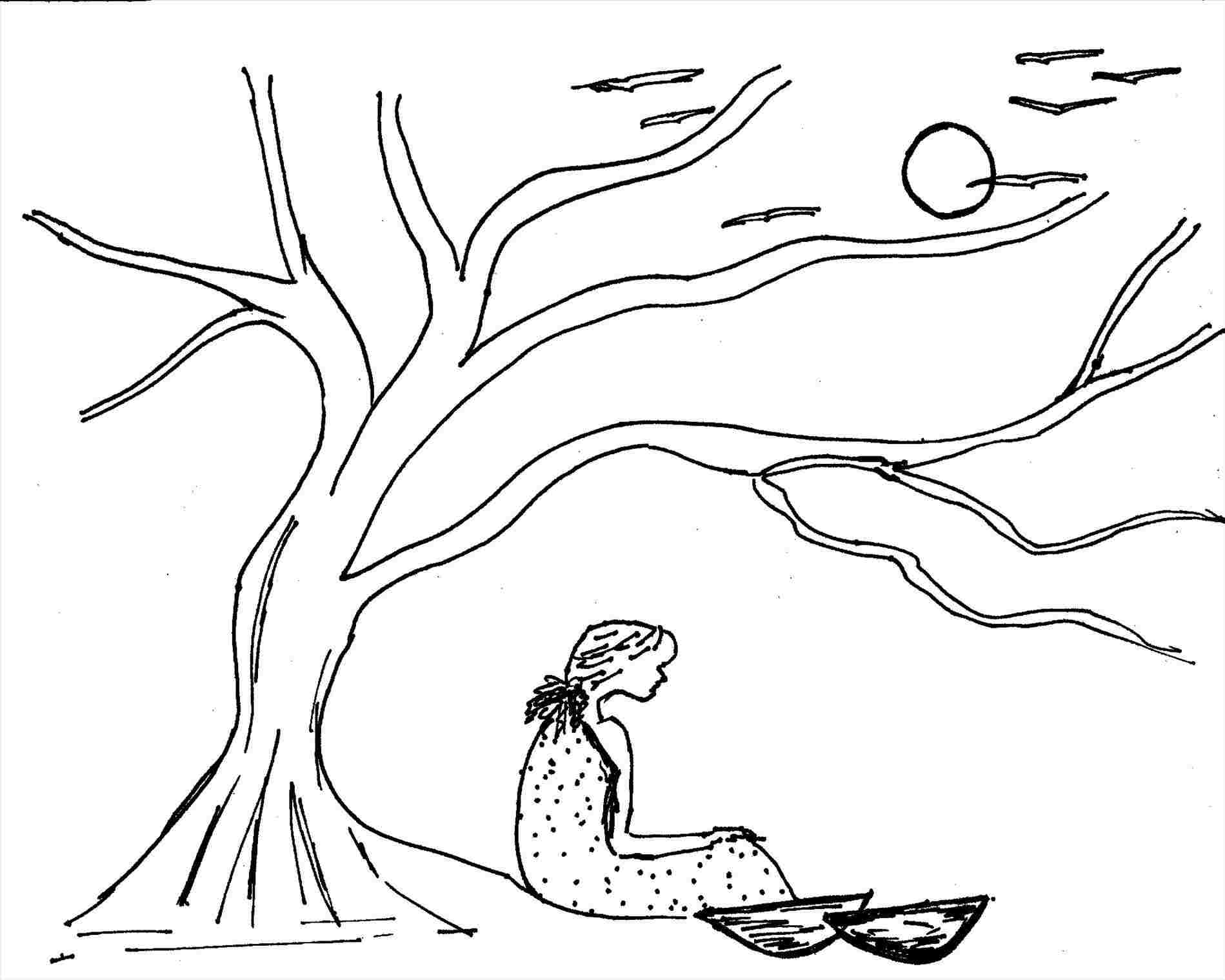 1899x1519 flowers rhcom orchid glass painting flowers outline - Orchid Drawing Outline