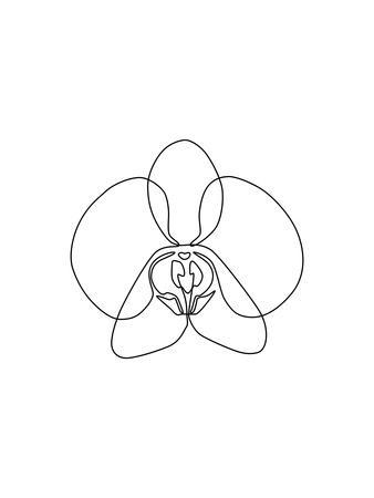 338x450 One Line Orchid Art Print - Orchid Line Drawing