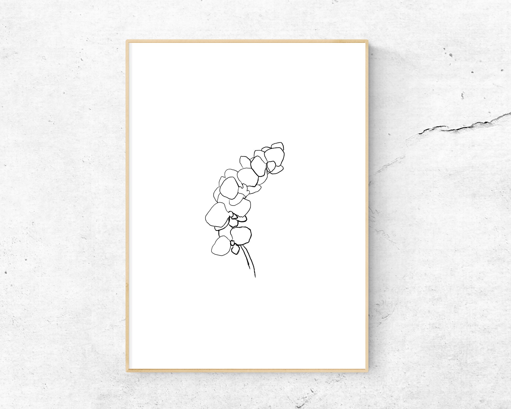 2116x1693 orchid printable poster minimal line art flower charcoal etsy - Orchid Line Drawing