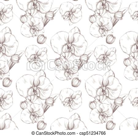 450x443 Beautiful Orchid Flowers Vector Illustration Floral Pattern - Orchid Line Drawing