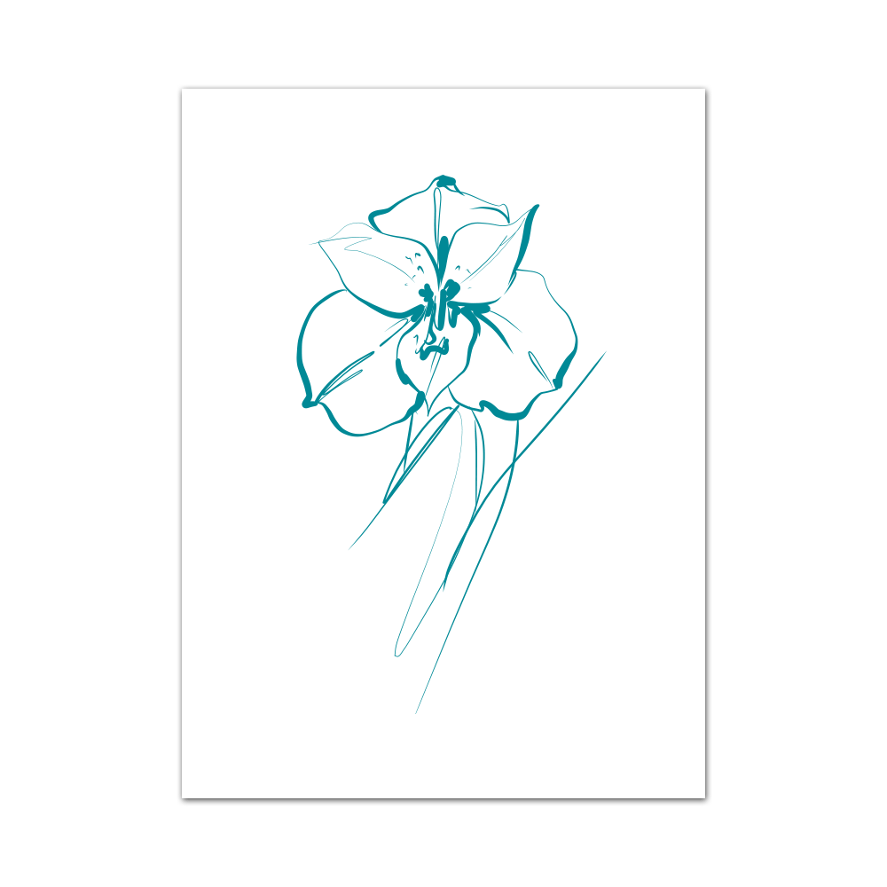 1000x1000 line art orchid screen screen sensation - Orchid Line Drawing