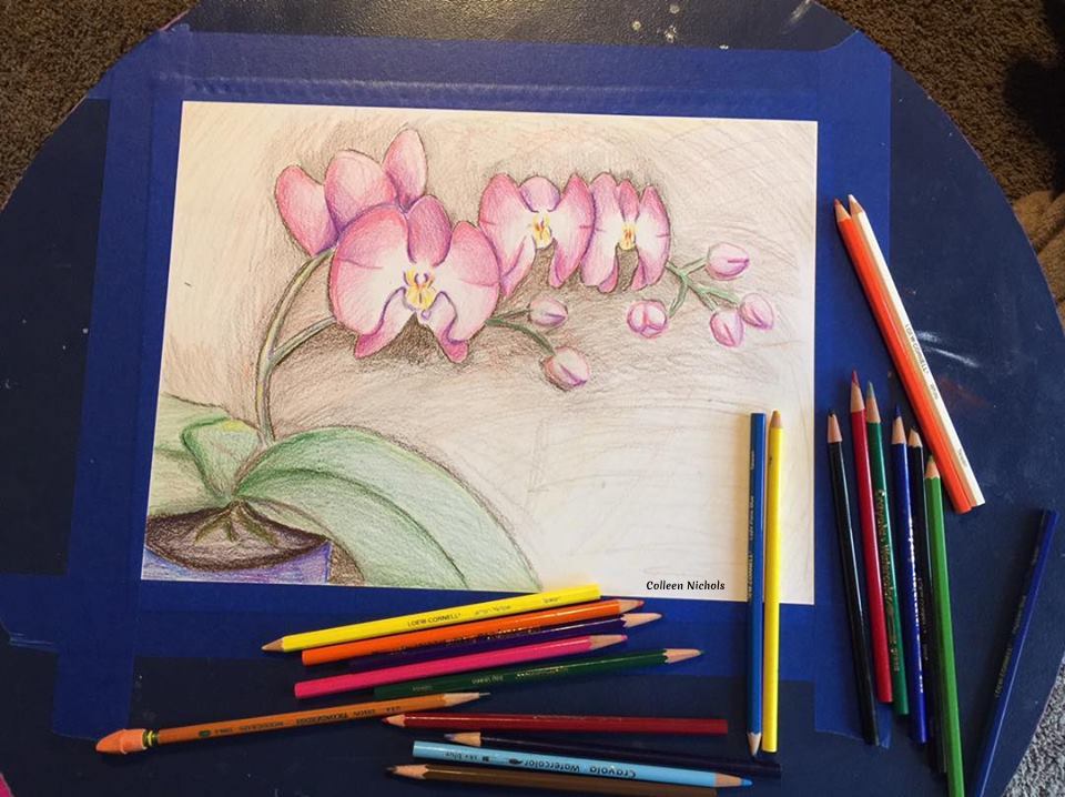 960x718 Orchid Pencil Drawing - Orchid Pencil Drawing