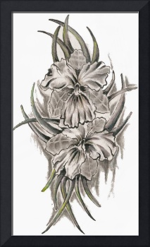 213x350 stunning orchid pencil drawings and illustrations for sale - Orchid Pencil Drawing