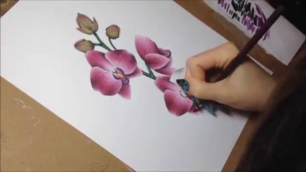 1280x720 drawing orchids with colored pencils and watercolor - Orchid Pencil Drawing