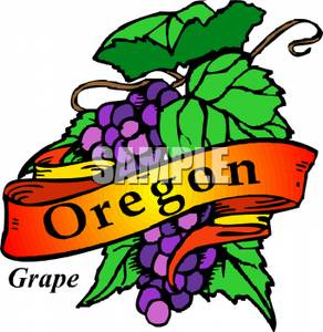 292x300 oregon state flower, the grape - Oregon State Flower Drawing