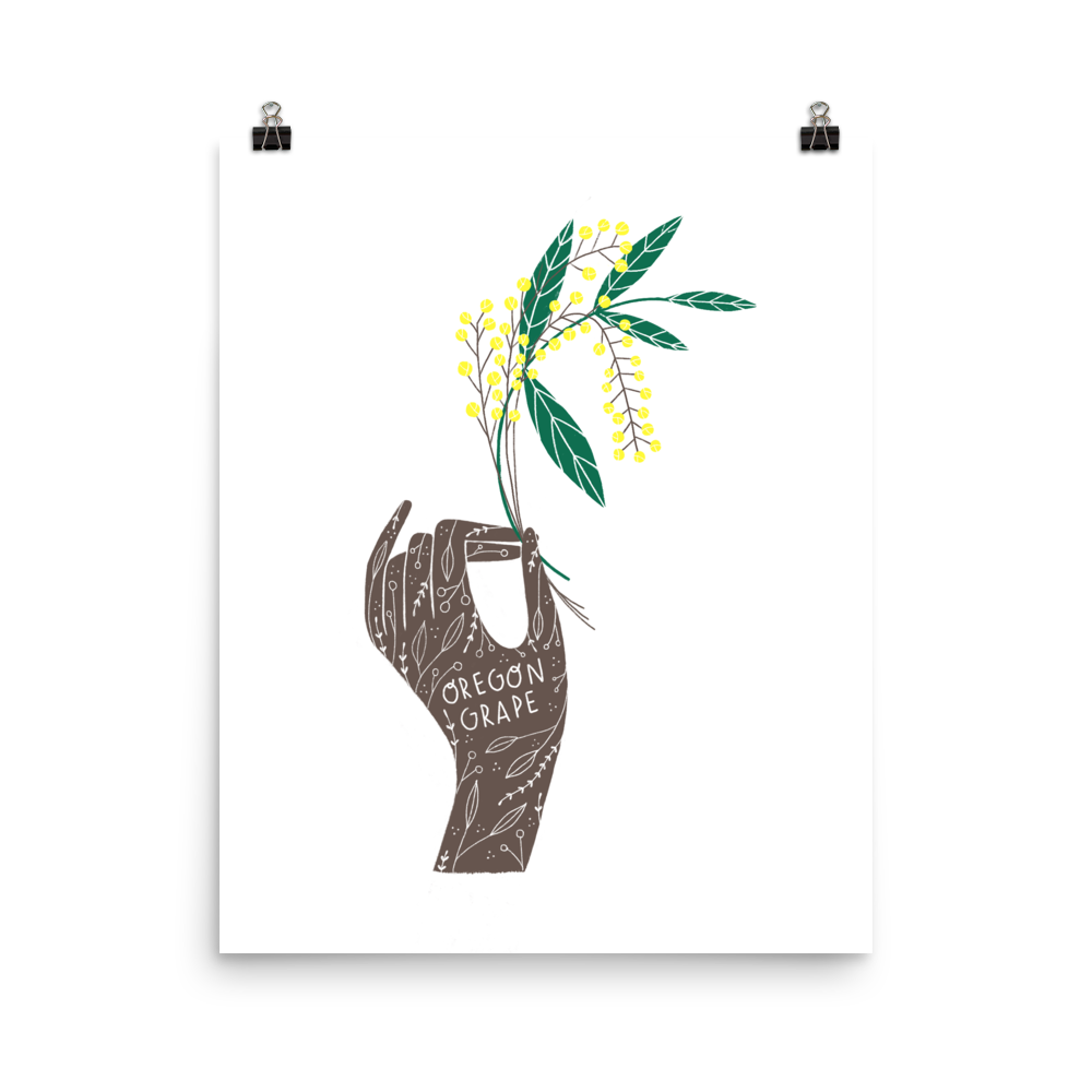 1000x1000 oregon state flower print gingiber - Oregon State Flower Drawing