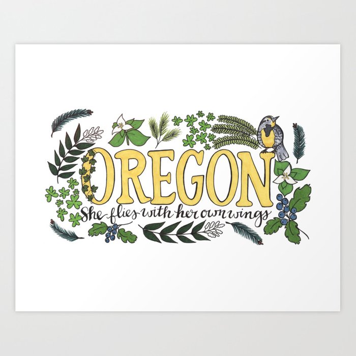 700x700 oregon state motto bird flower nature hand drawn art art print - Oregon State Flower Drawing