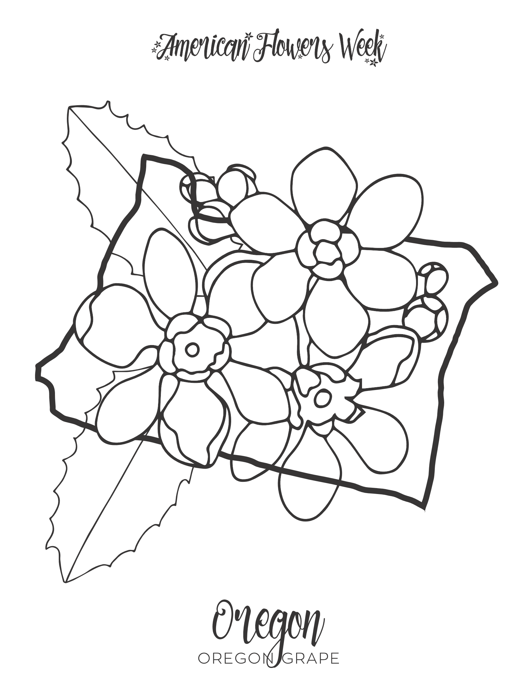 1700x2200 state flowers free coloring pages american flowers week - Oregon State Flower Drawing