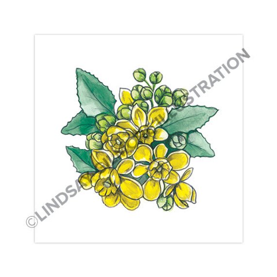 570x570 state flowers oregon grape oregon print etsy - Oregon State Flower Drawing