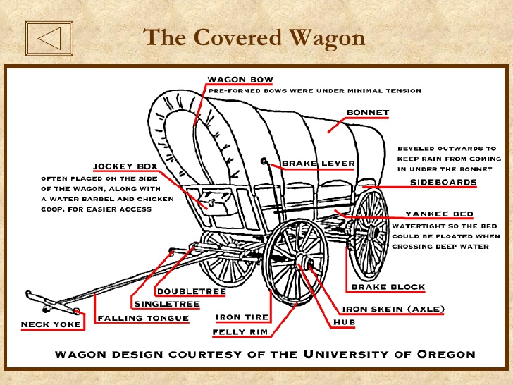 728x546 Huge Collection Of 'oregon Trail Wagon Drawing' Download More - Oregon Trail Wagon Drawing