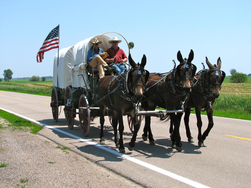 800x600 Outfit Yourself To Travel The Oregon Tail, Starting In Kansas City - Oregon Trail Wagon Drawing