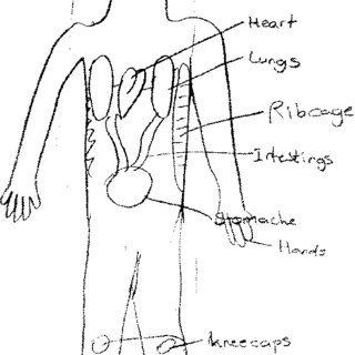 320x320 a drawing - Organ Drawing