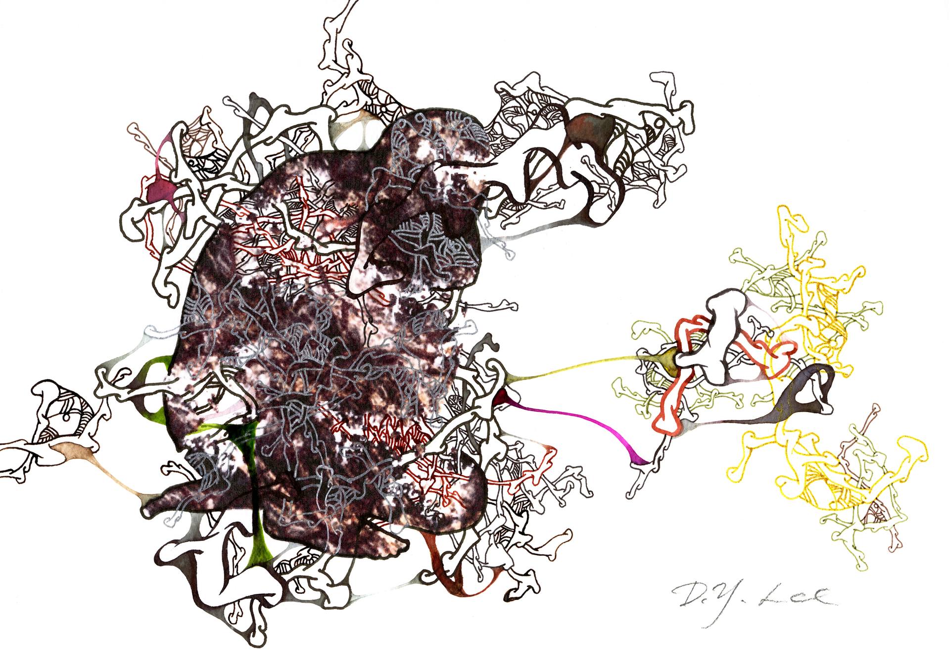 1920x1358 organic drawing drawing - Organic Drawing