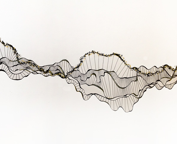 600x489 organic drawings on behance - Organic Drawing