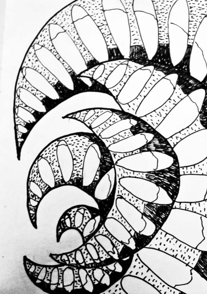 704x1000 organic shapes steam of creativity - Organic Shapes Drawing