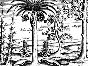 300x227 oriental landscape drawings fine art america - Oriental Drawings