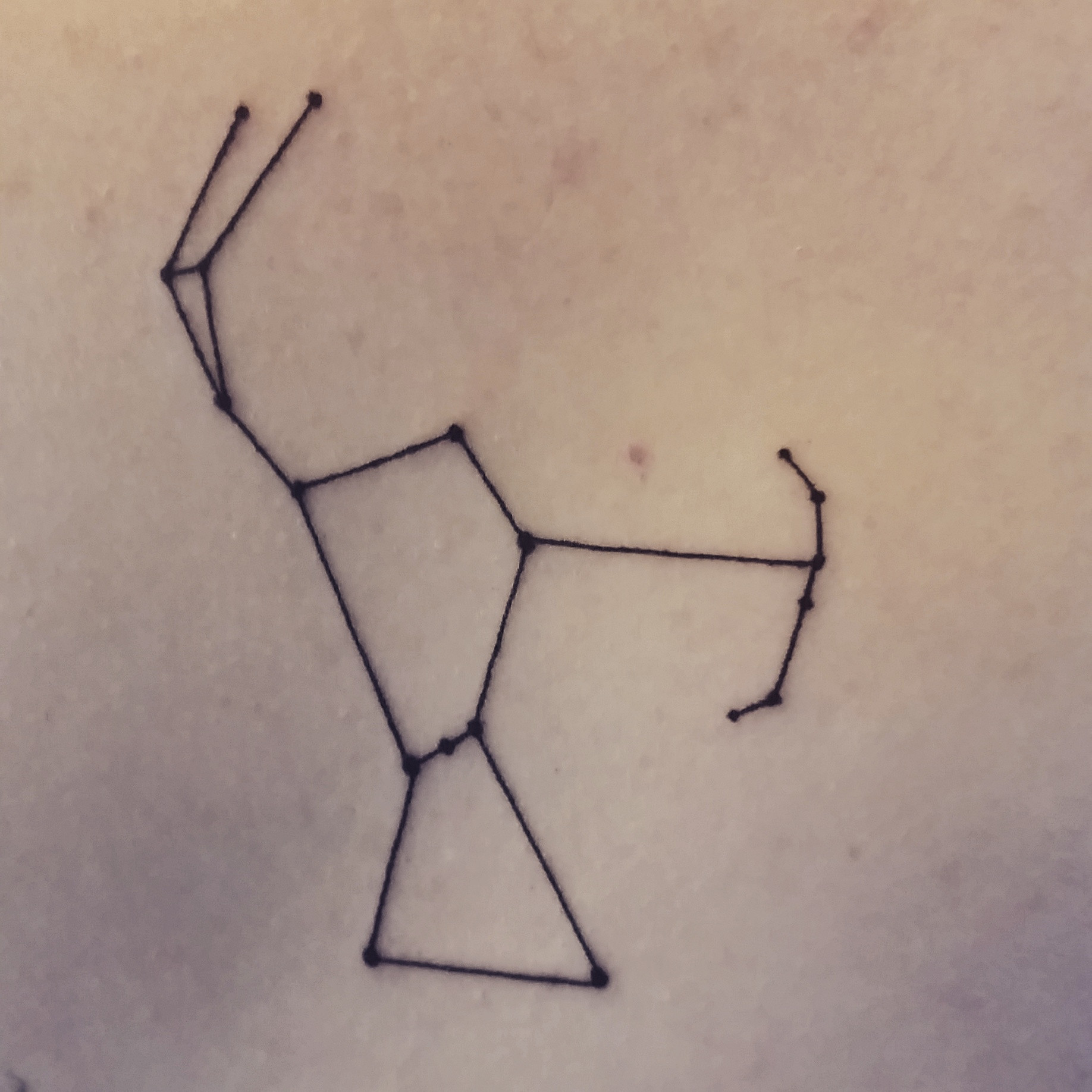 1836x1836 orion constellation i got done last night - Orion Constellation Drawing