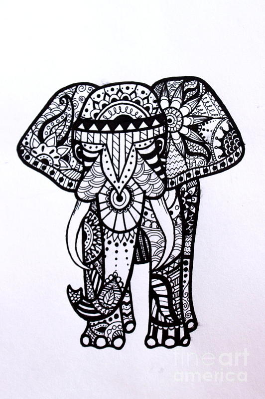 532x800 the ornate elephant drawing - Ornate Drawing
